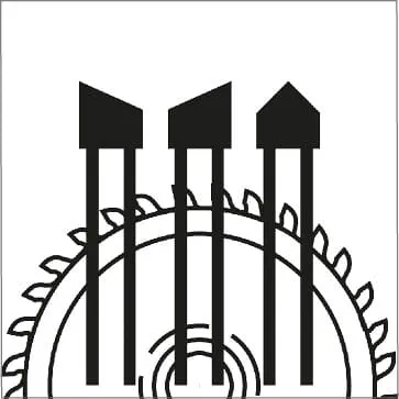 Formes des dents - denture pointue alternée 