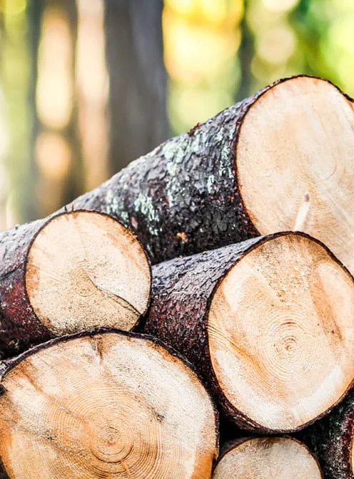 Certification FSC (FSC-C164884)