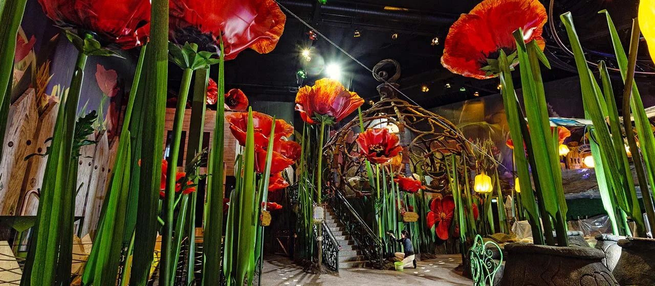 Les fleurs colorées d'Europa-Park