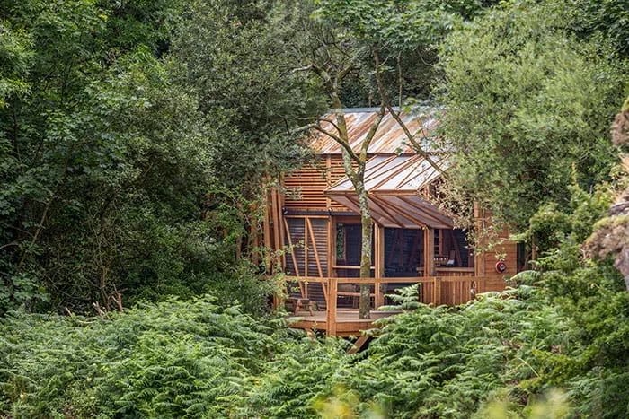 Un pub au beau milieu des forêts des Cornouailles